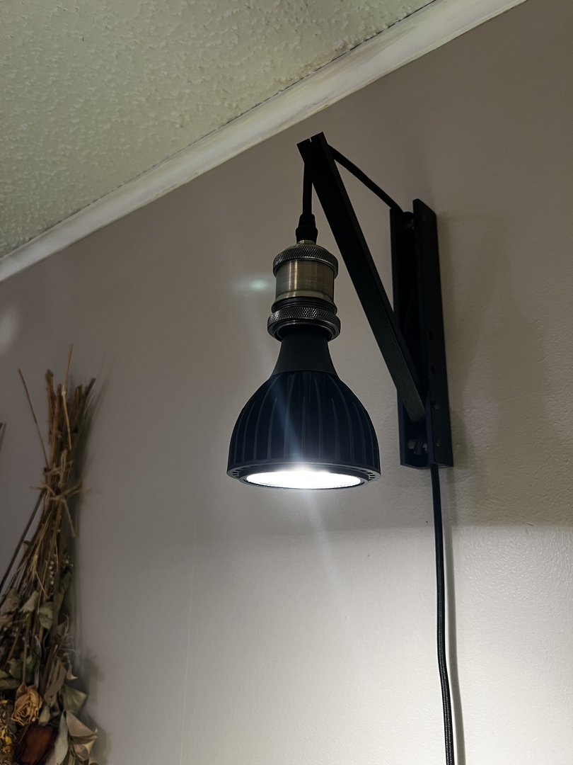 Wall-mounted black lamp with a bright light, next to dried plant arrangement.