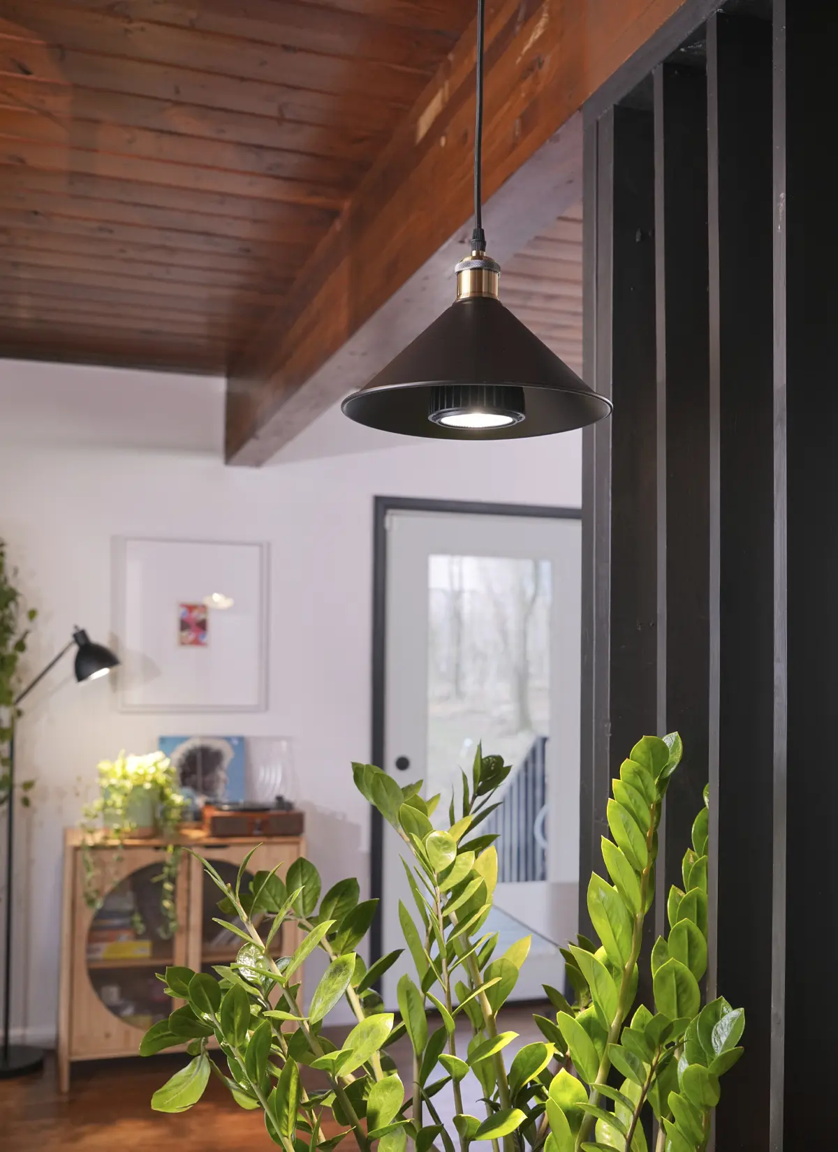 Modern interior with a hanging lamp, plants, and wooden ceiling.
