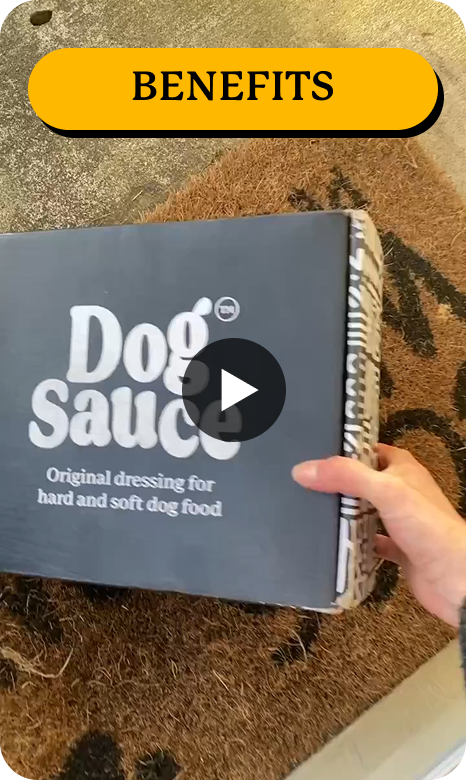 Hand holding a 'Dog Sauce' box on a doormat with a play button overlay.