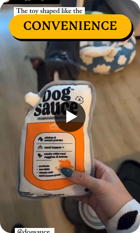 Person holding a dog toy shaped like a sauce packet, dog bed in background.
