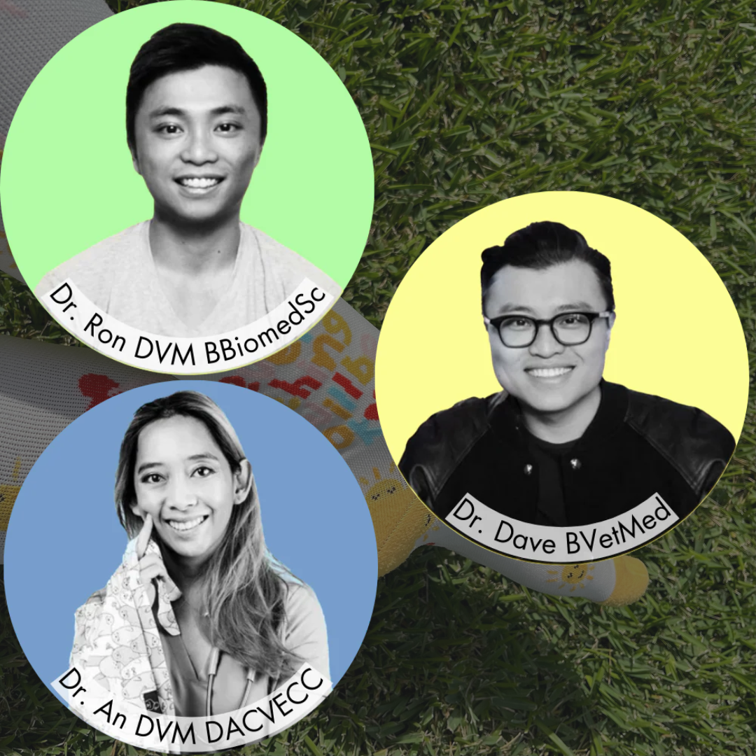 Three circular portraits of people with names and titles on colored backgrounds.