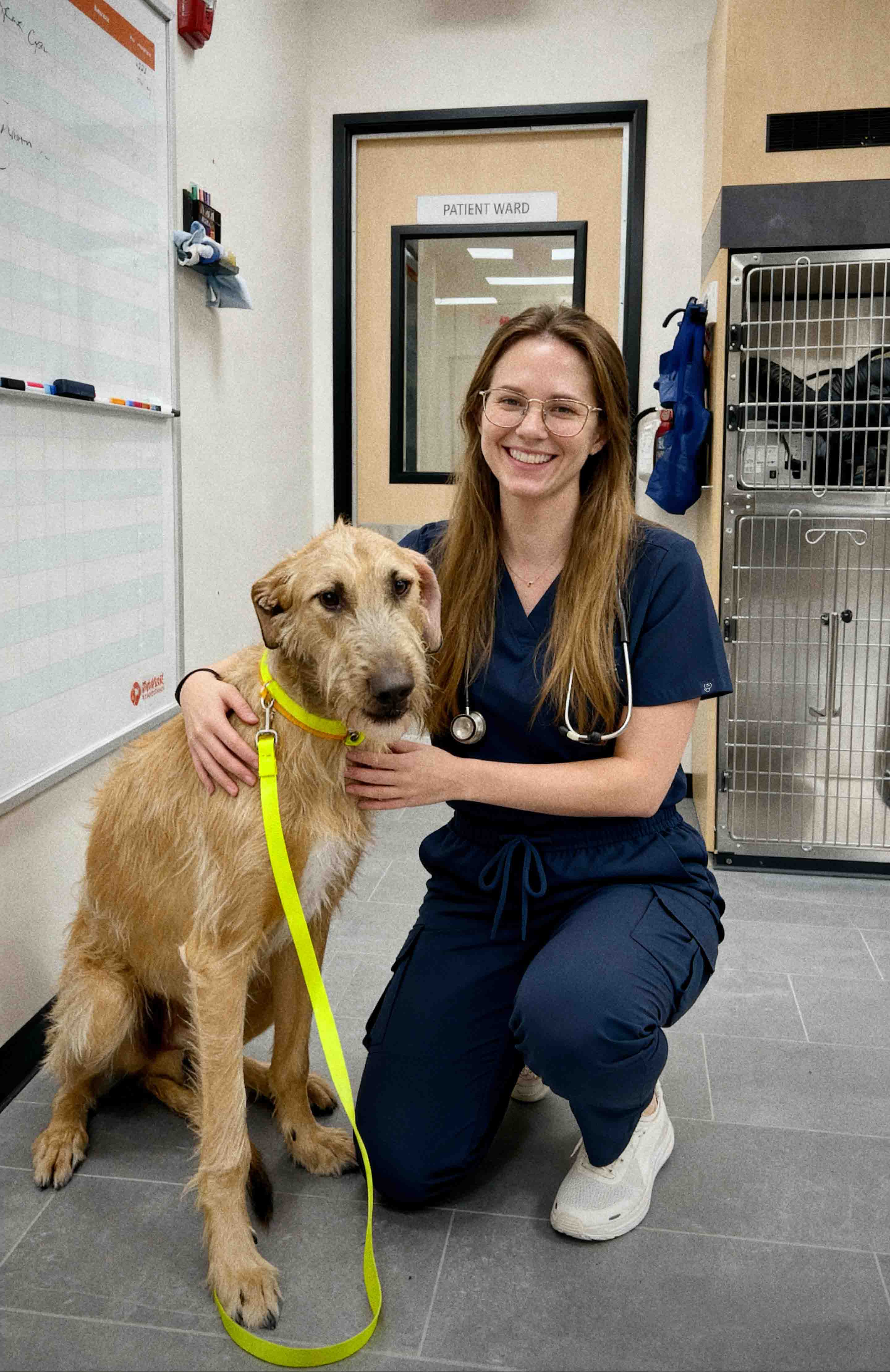 Vet at work in VetCore scrubs