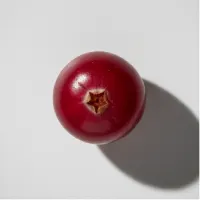 Red berry on a white background, casting a shadow.