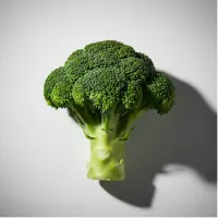 A single broccoli head against a plain background.