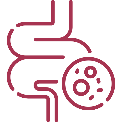 Line drawing of a digestive system with a magnified view of bacteria.