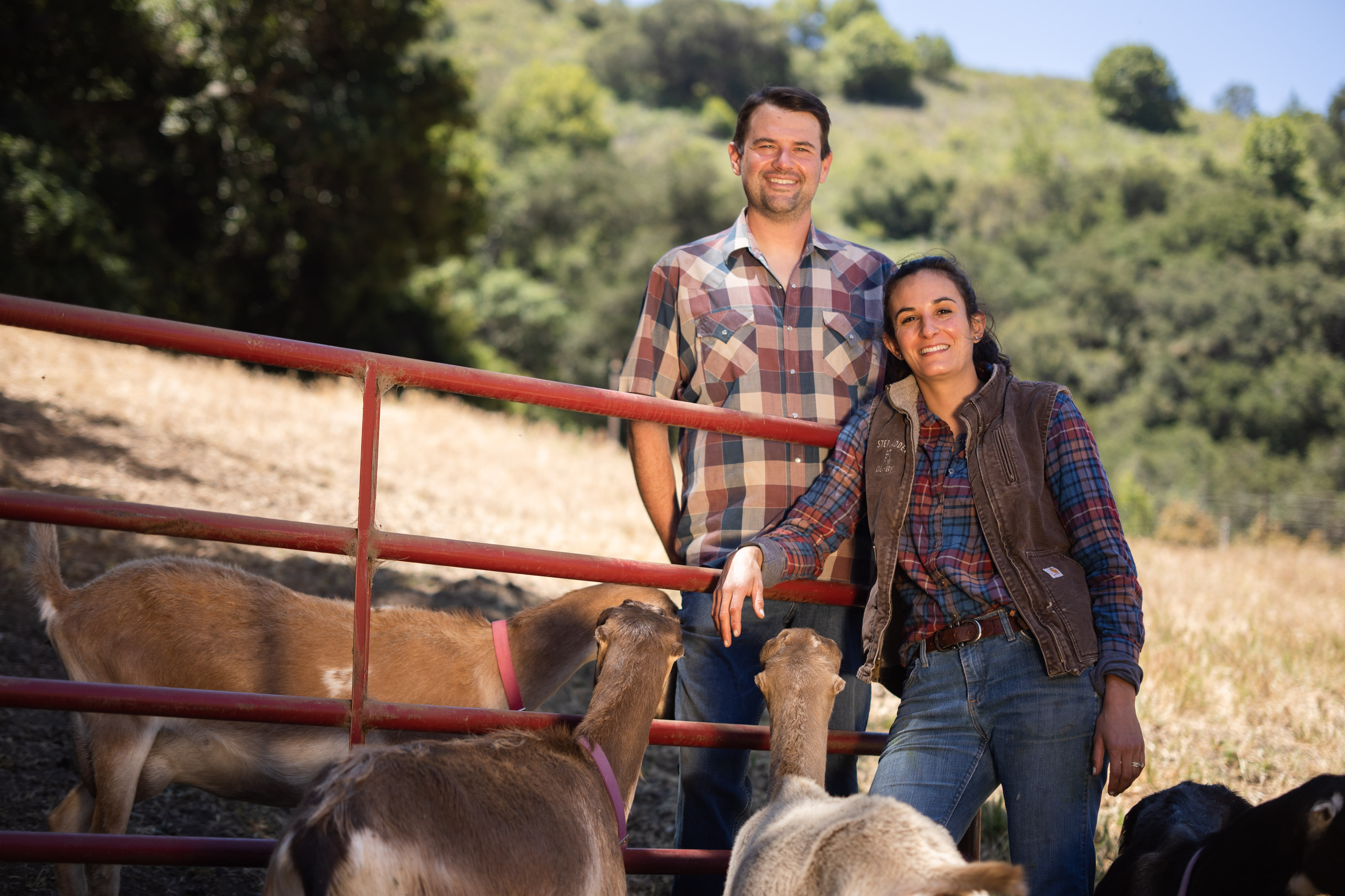 Two people standing by a red fence with goats, outdoors.