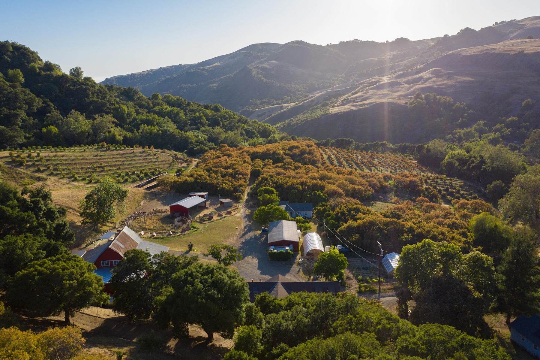 Aerial view of a farm with fields, trees, and red buildings in a hilly landscape.