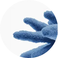 A close-up of a fuzzy blue object with finger-like branches, framed in a green circle.