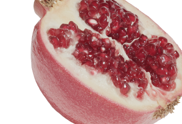 Pomegranate Pericarp