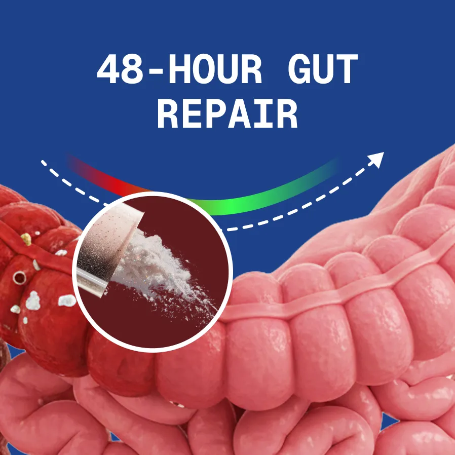 Illustration of intestines with '48-hour gut repair' text on blue background.