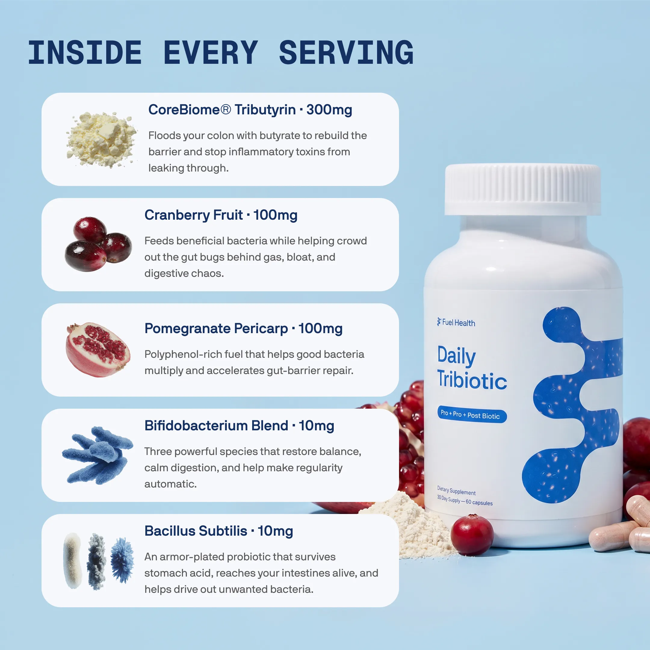 An infographic showing a bottle of Fuel Health Daily Tribiotic supplements next to a list of its ingredients.
