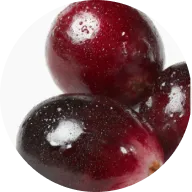 A close-up of several shiny, dark red cranberries inside a circular frame.