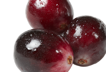 Cranberry Fruit