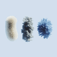 Three abstract fluffy shapes on a light blue background.