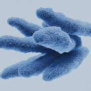 Close-up of fuzzy blue cylindrical shapes on a light background.