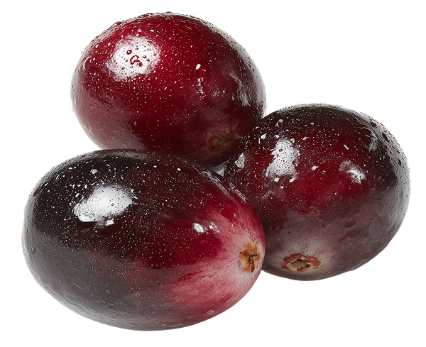 A close-up of three shiny, wet, dark red cranberries against a white background.