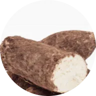 A close-up of a cut cassava root with brown skin and white flesh, inside a circular frame.