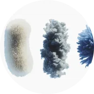 Three abstract, fluffy forms in off-white, grey, and blue, shown side-by-side in a circular frame.