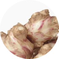 A close-up of a knobby, ginger-like root with pinkish streaks, presented in a circular frame.