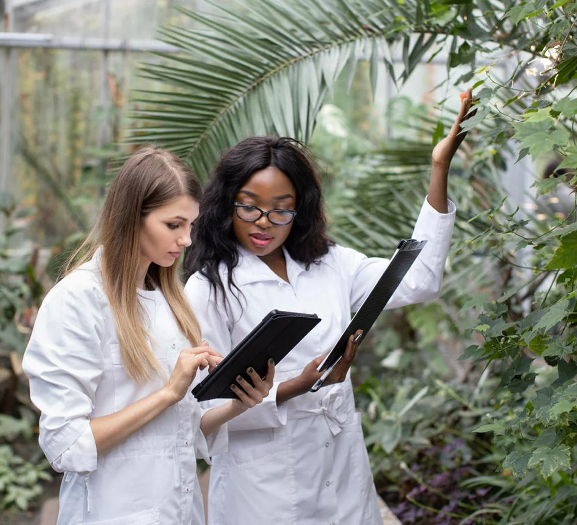 Two scientists in lab coats examining plants in a greenhouse.