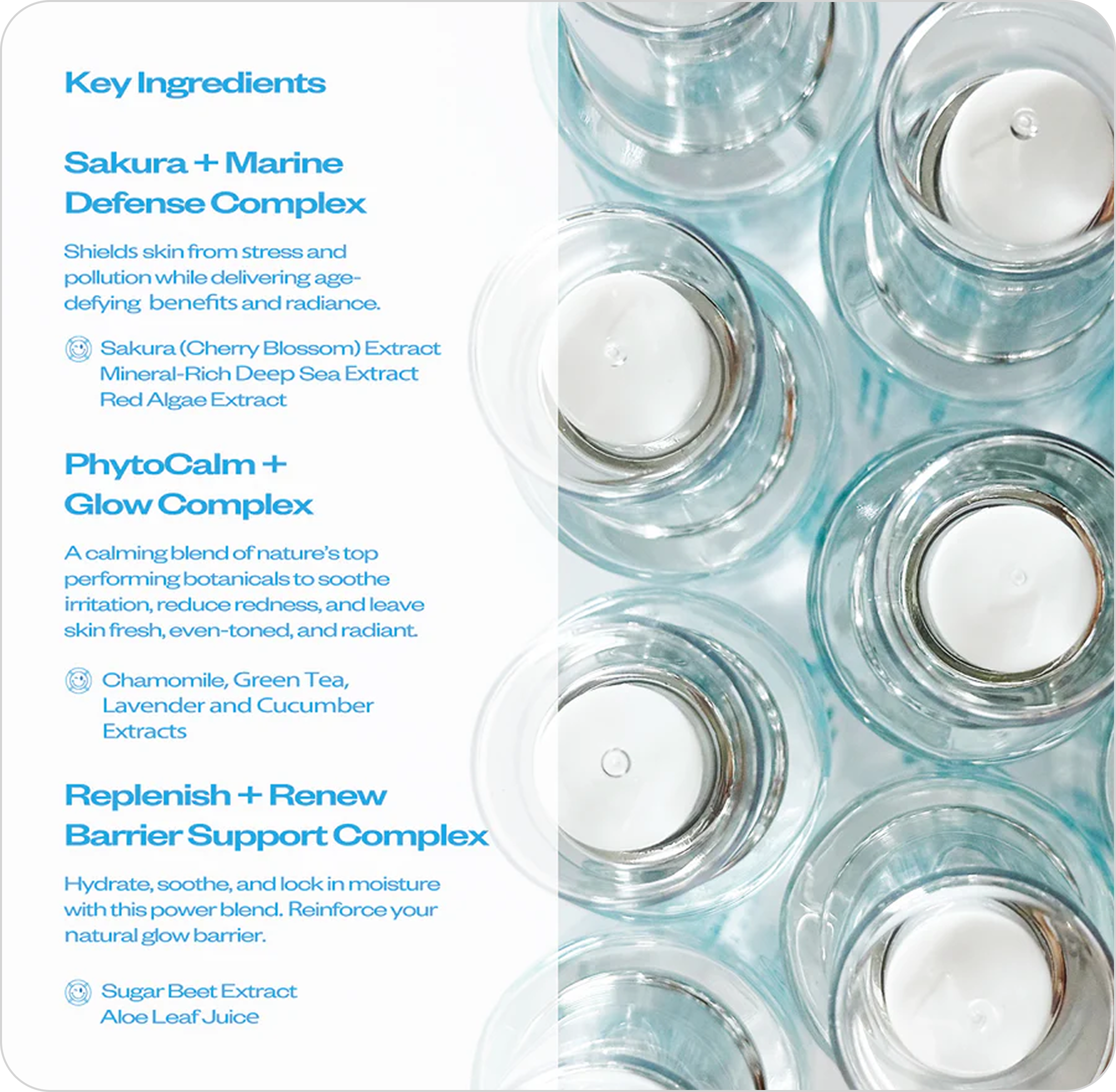 Text about skincare ingredients beside rows of transparent bottles.