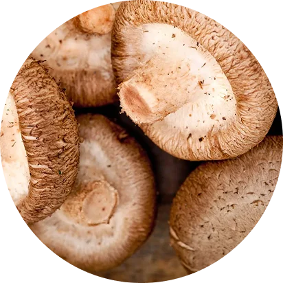 A close-up overhead shot of several fresh shiitake mushrooms in a circular frame.