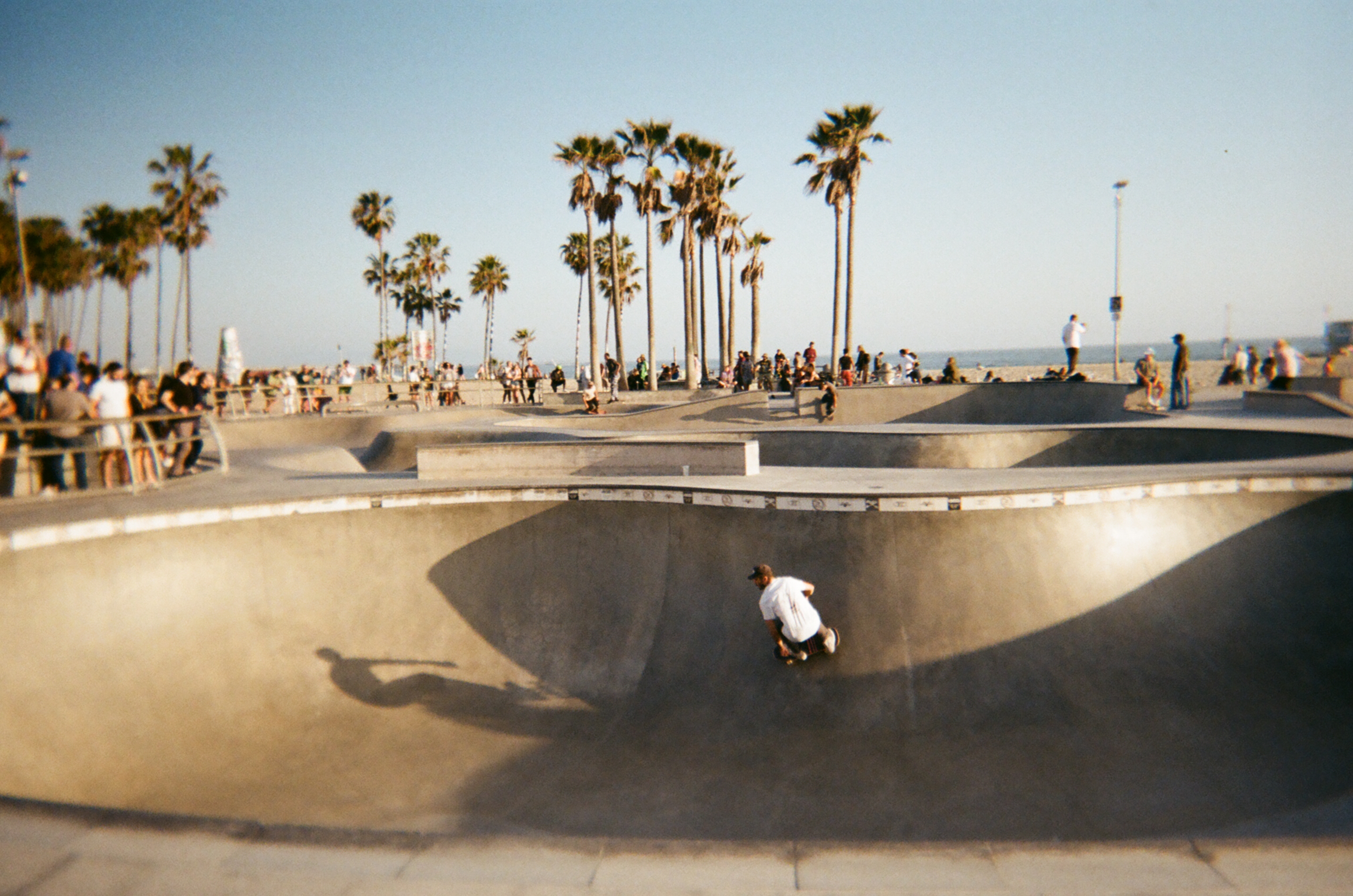 Skateboarder in a concrete skate park with palm trees and people in the background.