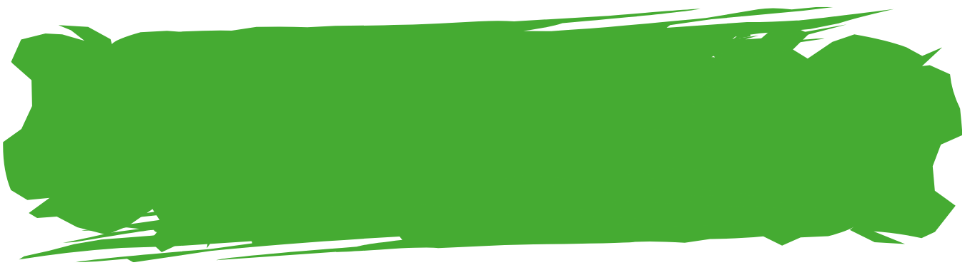 Green paint brush stroke on a transparent background.