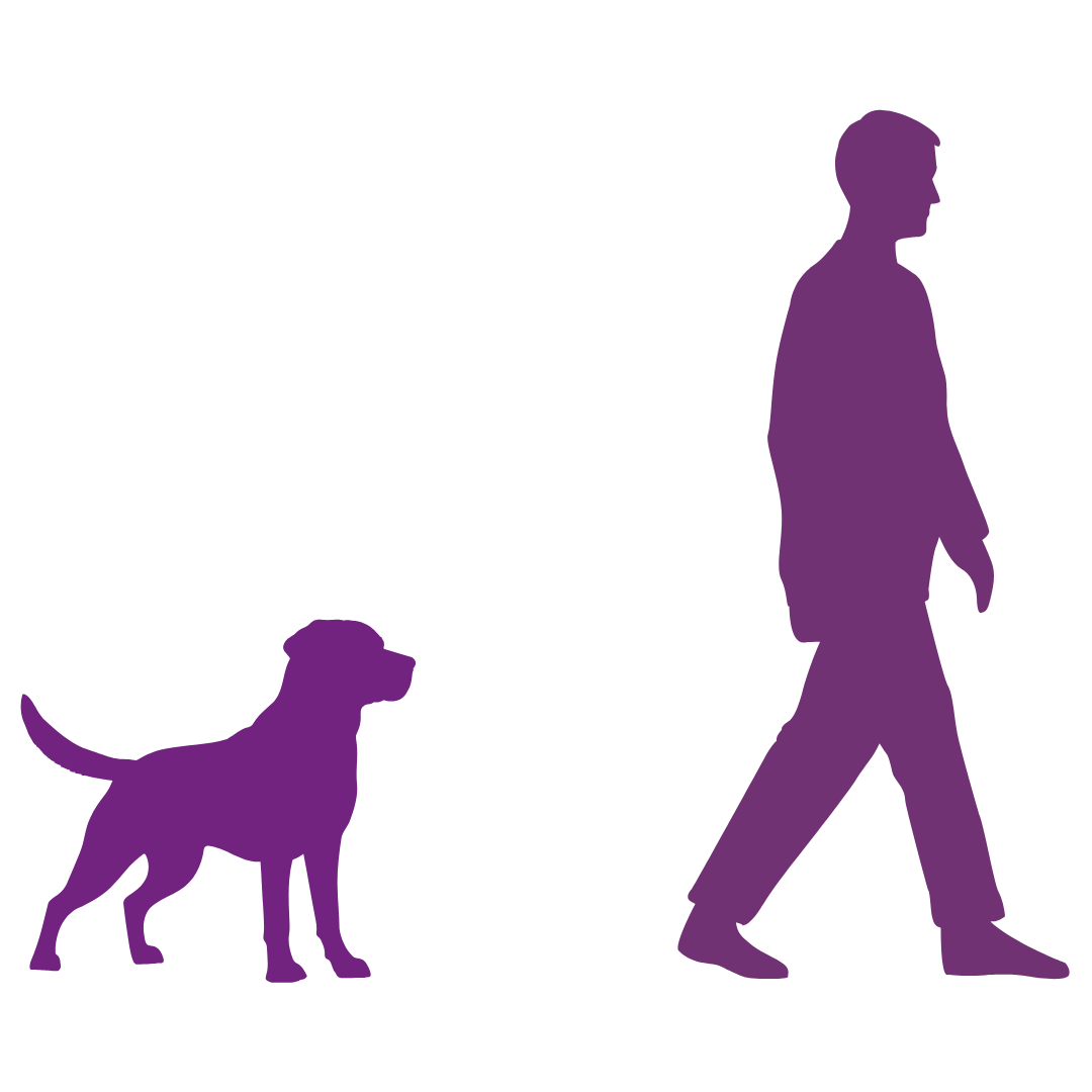 Silhouette of a person walking and a dog standing.