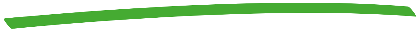 A green curved brushstroke on a black background.