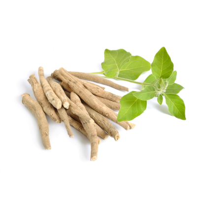 Pile of dried roots next to green leaves on a white background.