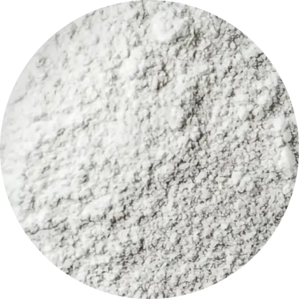 Close-up of a textured white powder surface.