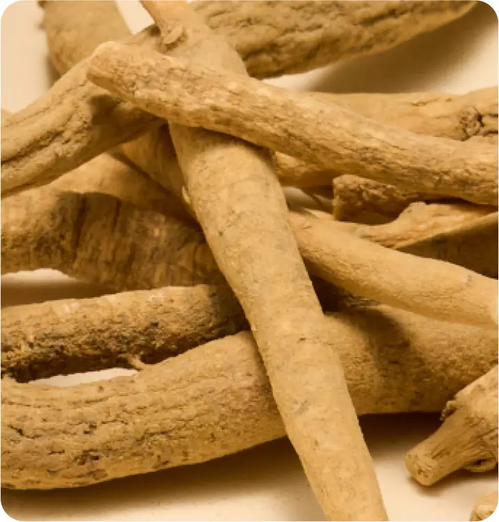 Close-up of dried, tan-colored roots stacked together.