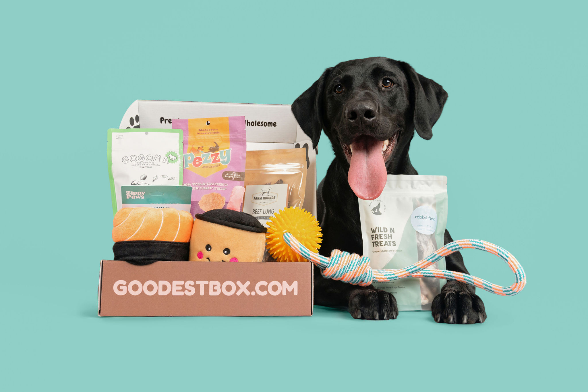 Black dog with a box of dog treats and toys against a teal background.
