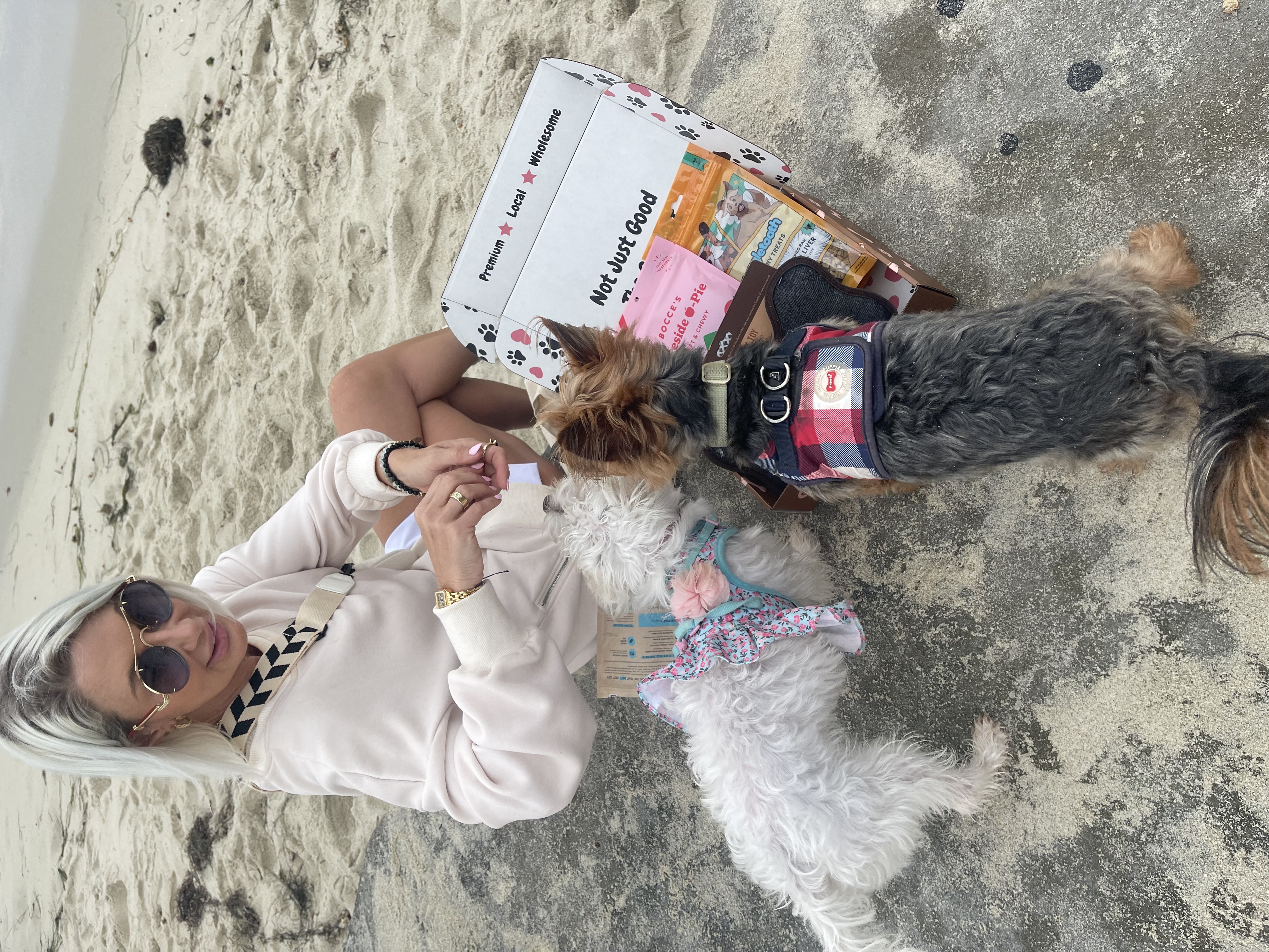 Person sitting on sand with two dogs near a box labeled 'Premium Local Wholesome.'