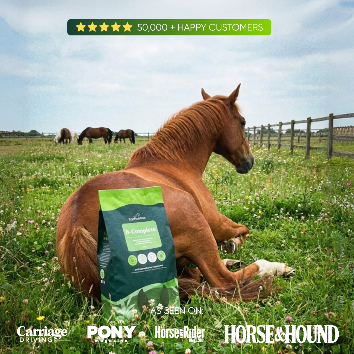 A brown horse rests in a grassy field next to a bag of B-Complete horse supplement.