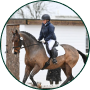 A person wearing a helmet and jacket riding a brown horse in a circular frame.