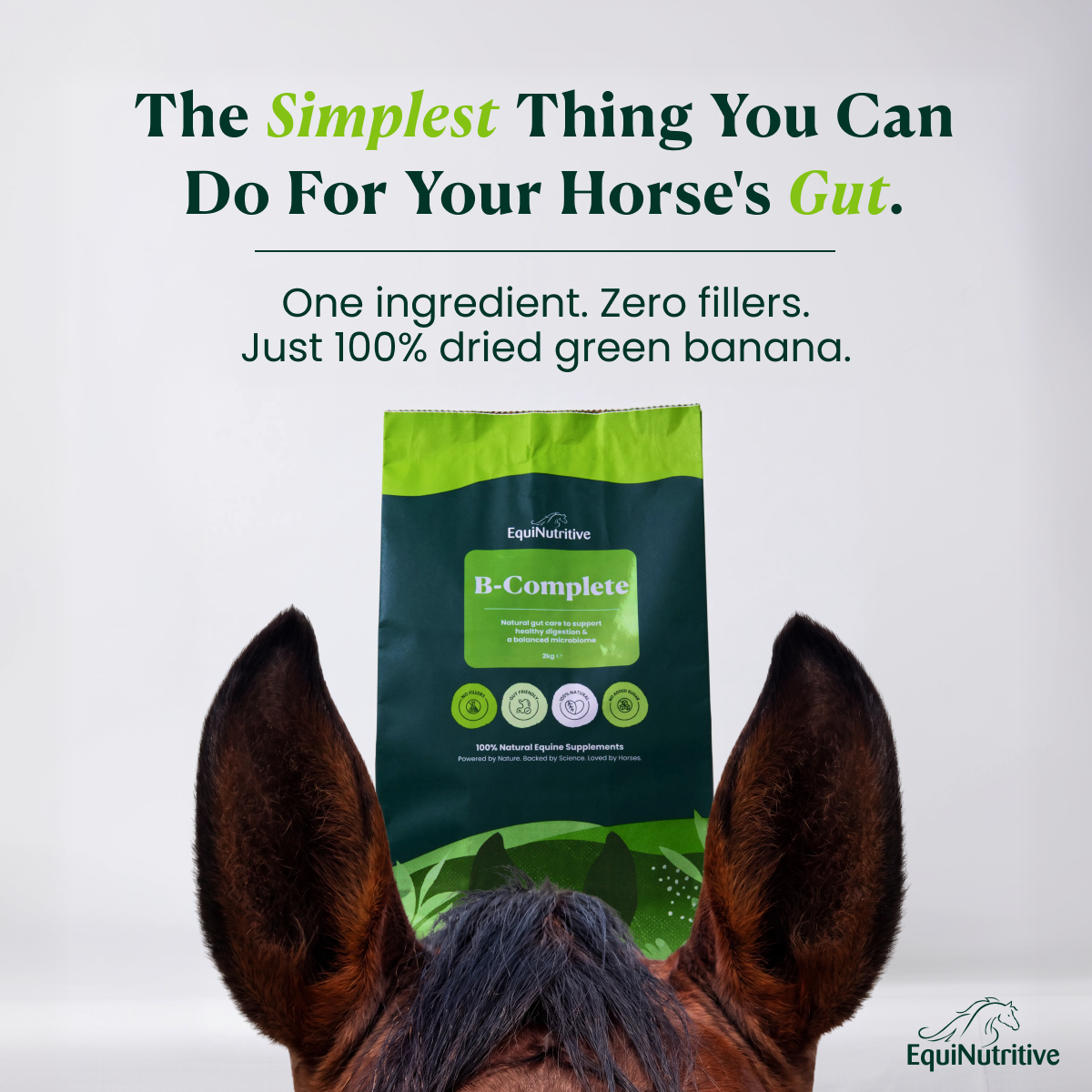 A view from behind a horse's head, looking at a bag of EquiNutritive B-Complete horse supplement.