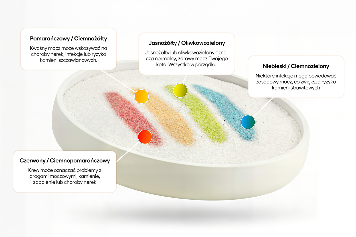 Colored patches on white powder with Polish text labels.