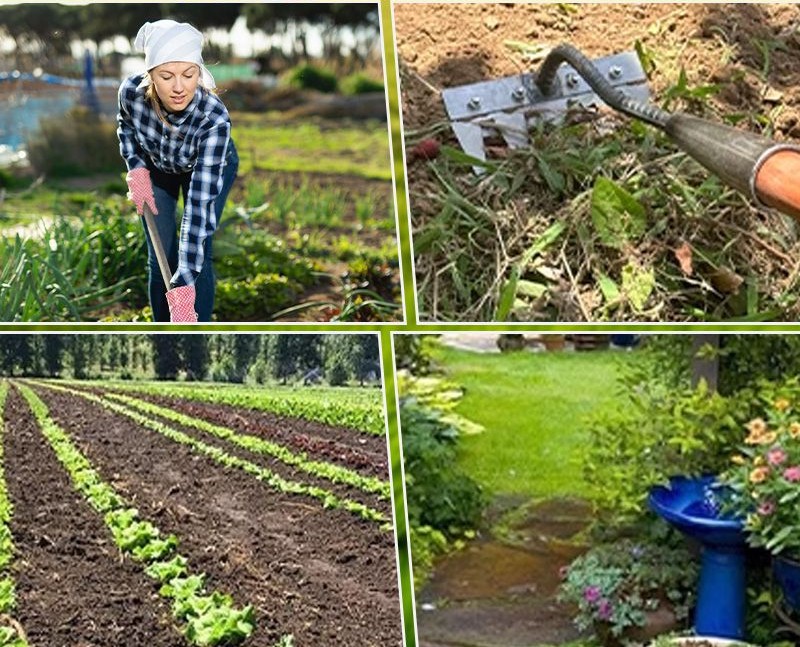 Collage depicting a person gardening, a hoe, vegetable rows, and a garden path with flowers.