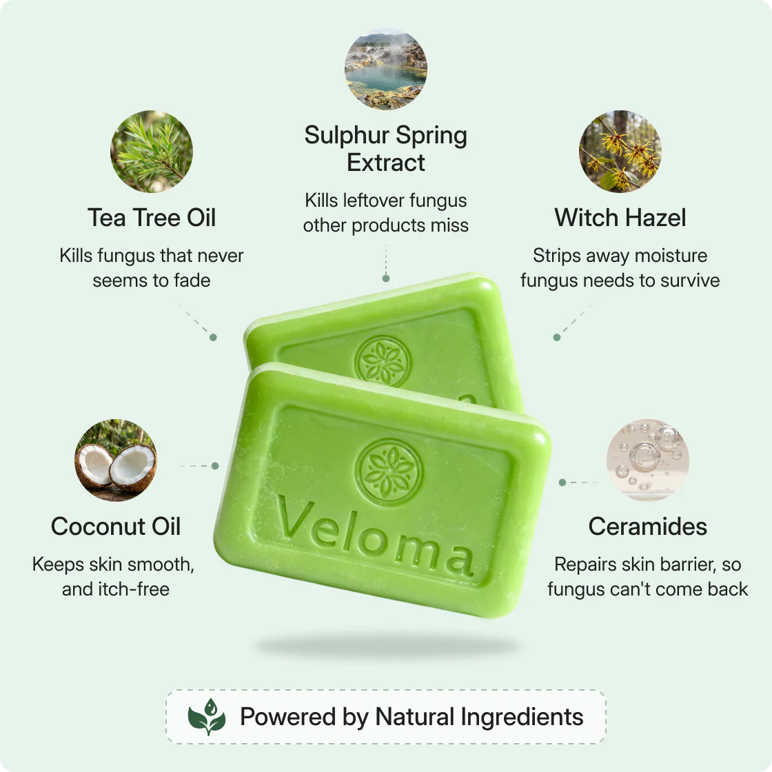 An infographic showing two bars of green Veloma soap and its five natural ingredients with their benefits.