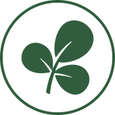 A green icon of a plant sprig with three leaves inside a circle.