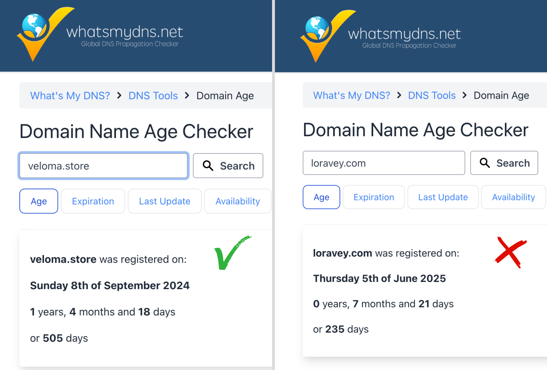 Two results from a Domain Name Age Checker tool, one with a green checkmark, the other with a red X.