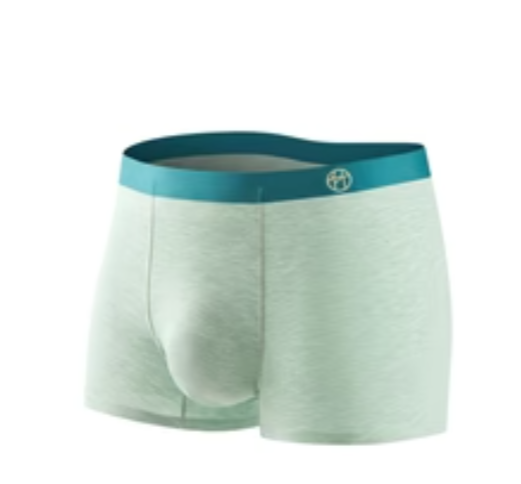 A pair of light green marled boxer briefs with a solid teal waistband on a white background.