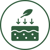 A green circular icon showing a leaf and arrows pointing down to a surface, representing absorption.