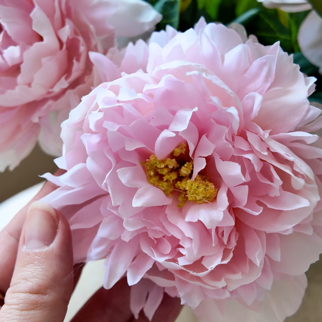 Close-up of a hand holding a light pink peony with ruffled petals.
