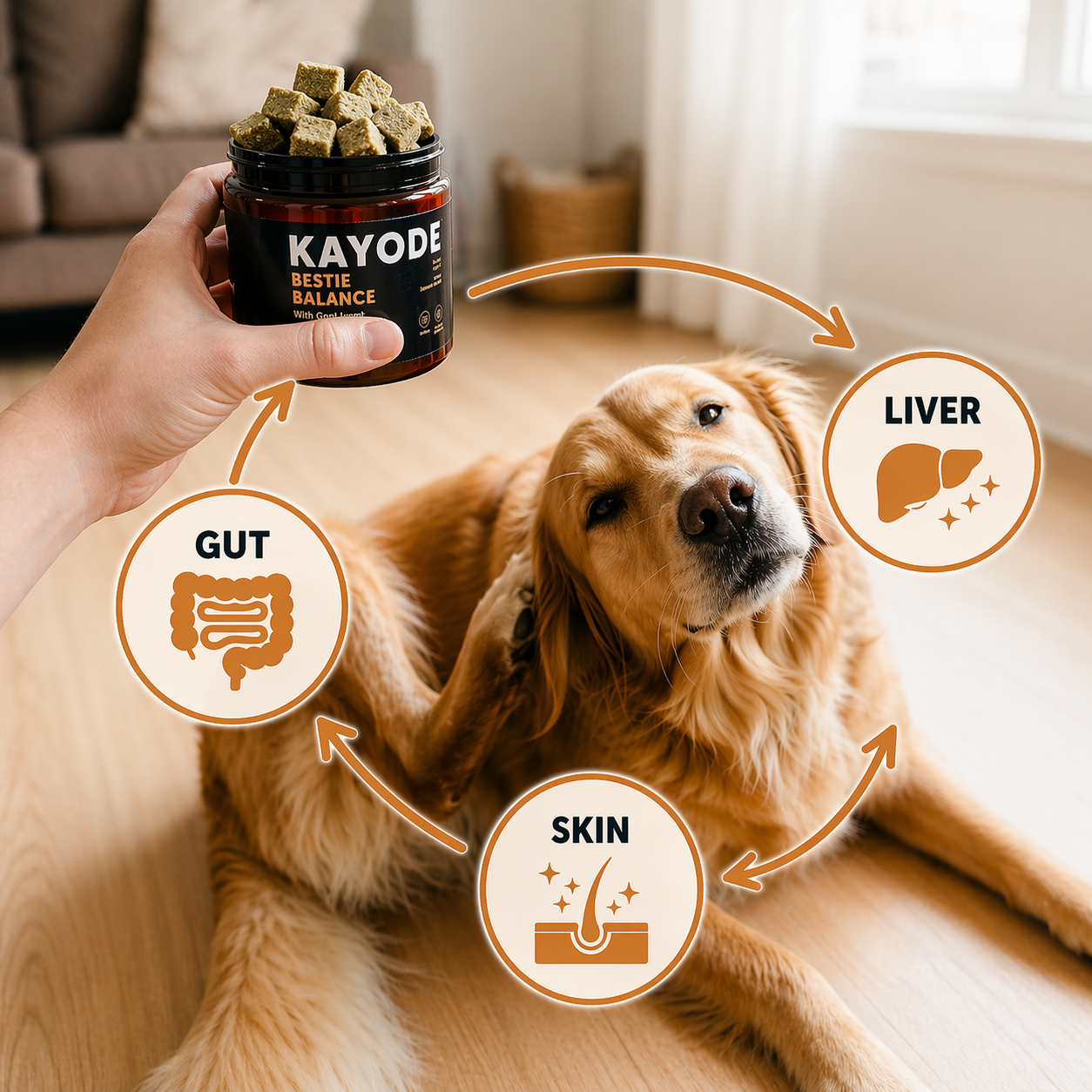 A hand holds a jar of dog treats above a scratching golden retriever with graphics showing health benefits.