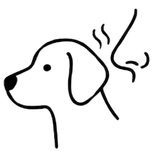 A black and white line drawing of a human nose sniffing the back of a dog's head.