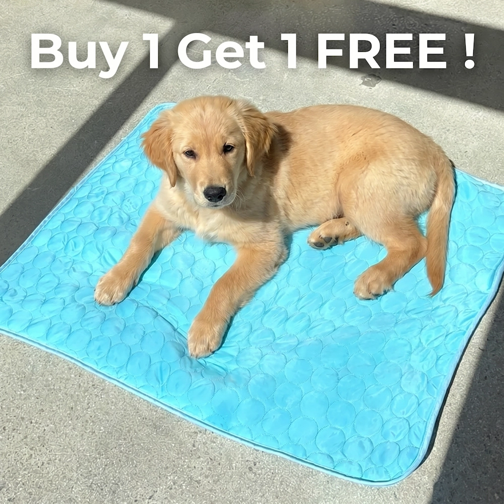 A golden retriever puppy lies on a blue quilted mat with the text 'Buy 1 Get 1 FREE!'