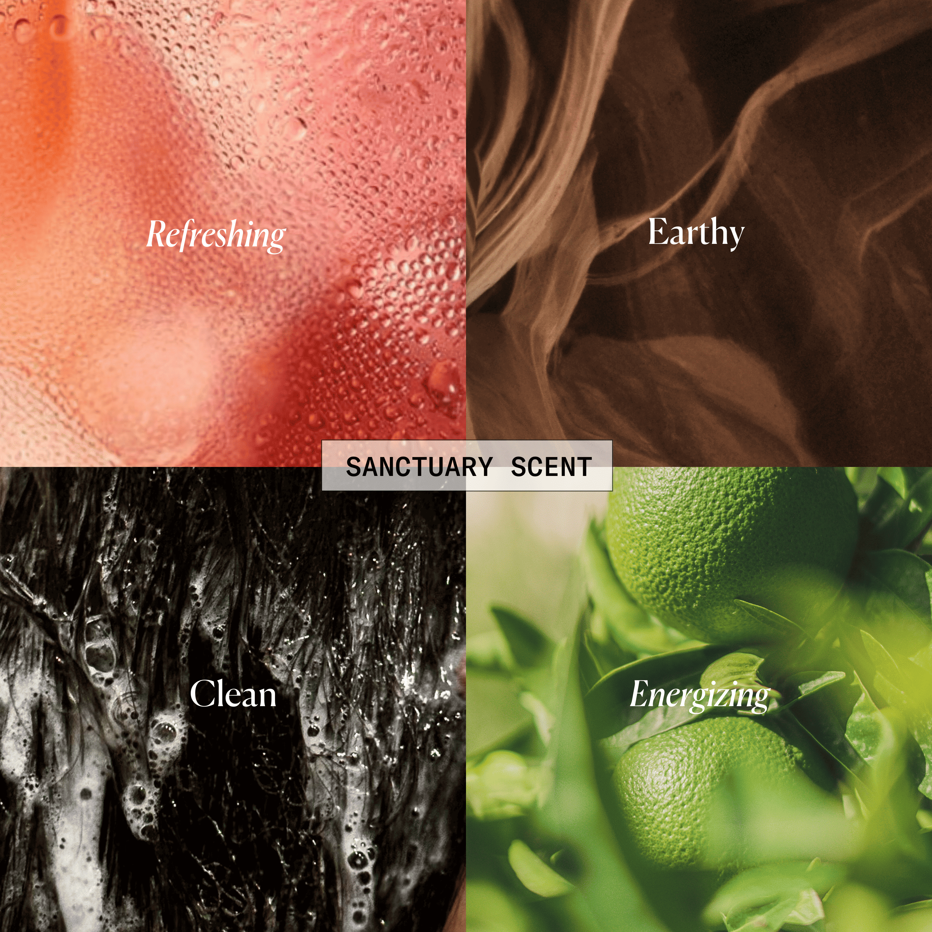 Four quadrants with textures labeled Refreshing, Earthy, Clean, Energizing; text 'Sanctuary Scent' in center.